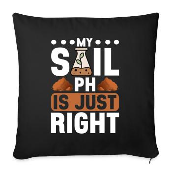 Bodenwissenschaftler Science du sol - Housse de coussin décorative 45 x 45 cm - noir - Devant