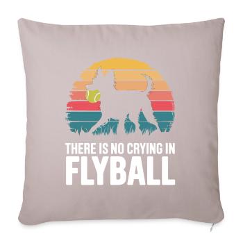 Flyball Sports canins - Housse de coussin décorative 45 x 45 cm - taupe clair - Devant