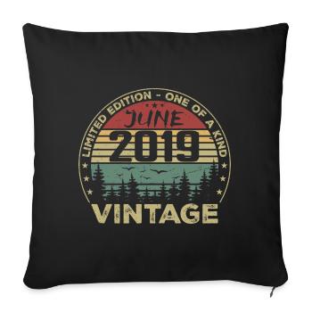 Gift June 2019 Birthday June 2019 June 2019 - Sofa pillowcase 17,3'' x 17,3'' (45 x 45 cm) - black - Front