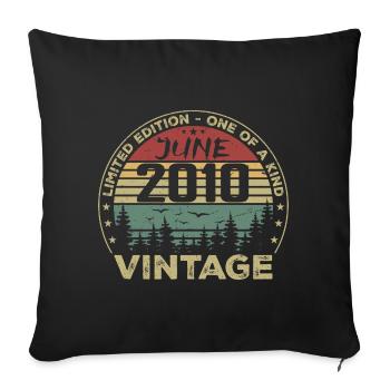 Gift June 2010 Birthday June 2010 June 2010 - Sofa pillowcase 17,3'' x 17,3'' (45 x 45 cm) - black - Front