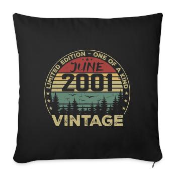 Gift June 2001 Birthday June 2001 June 2001 - Sofa pillowcase 17,3'' x 17,3'' (45 x 45 cm) - black - Front