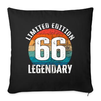 Happy Birthday - 66th Birthday Limited Edition - Sofa pillowcase 17,3'' x 17,3'' (45 x 45 cm) - black - Front