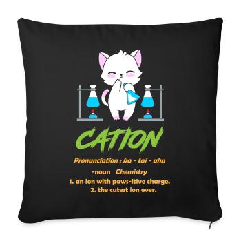 Chemistry Teacher Chemistry Chemist - Sofa pillowcase 17,3'' x 17,3'' (45 x 45 cm) - black - Front