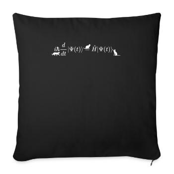 Schrodinger cats math and physics formula equation - Sofa pillowcase 17,3'' x 17,3'' (45 x 45 cm) - black - Front