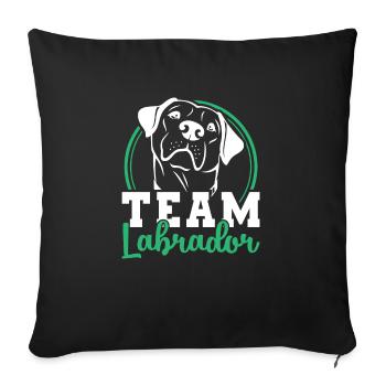Labrador - Sofa pillowcase 17,3'' x 17,3'' (45 x 45 cm) - black - Front
