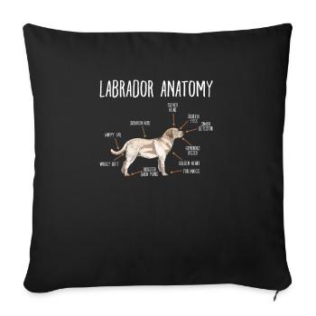 Labrador - Sofa pillowcase 17,3'' x 17,3'' (45 x 45 cm) - black - Front