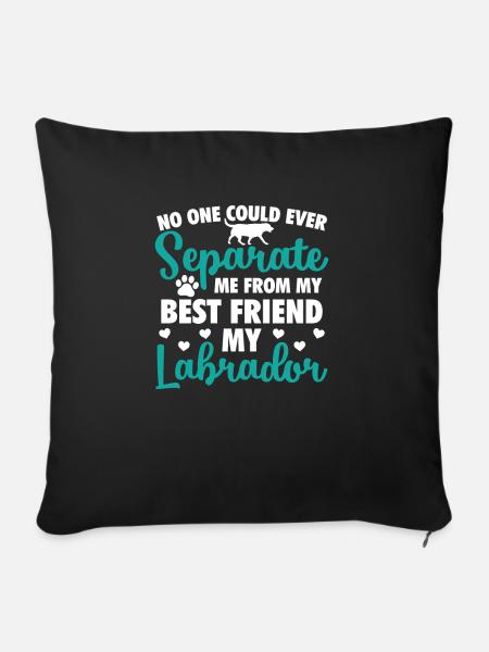 Labrador - Sofakissenbezug 45 x 45 cm - Schwarz