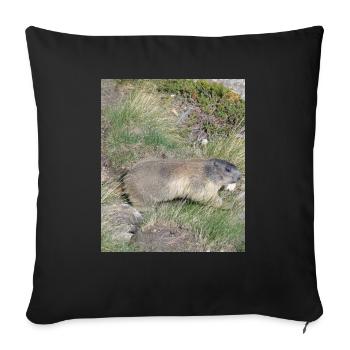 Marmotte - Housse de coussin décorative 45 x 45 cm - noir - Devant