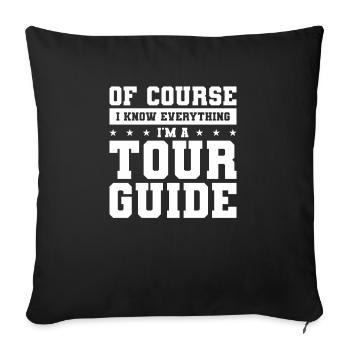 Bien sûr, je sais tout, je suis un guide touristique - Housse de coussin décorative 45 x 45 cm - noir - Devant