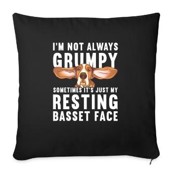 Basset Hound Gift - Sofa pillowcase 17,3'' x 17,3'' (45 x 45 cm) - black - Front
