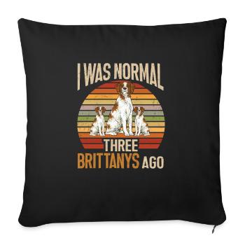 Épagneul Breton Épagneul Cadeau - Housse de coussin décorative 45 x 45 cm - noir - Devant
