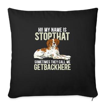 Épagneul Breton Épagneul Cadeau - Housse de coussin décorative 45 x 45 cm - noir - Devant