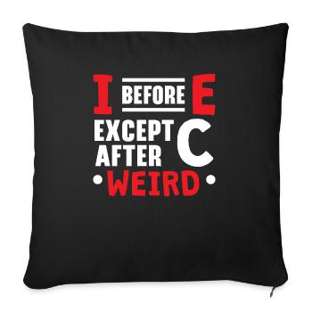 Grammar Police English Writing Teacher Apostrophe - Sofa pillowcase 17,3'' x 17,3'' (45 x 45 cm) - black - Front
