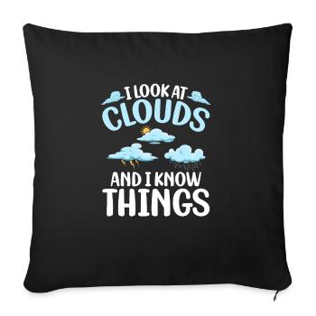 I Look At Clouds And I Know Things Meteorologist - Sofa pillowcase 17,3'' x 17,3'' (45 x 45 cm) - black - Front