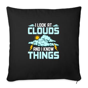 I Look At Clouds And I Know Things Meteorology - Sofa pillowcase 17,3'' x 17,3'' (45 x 45 cm) - black - Front