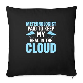 Meteorologist Paid To Keep My Head In The Cloud We - Sofa pillowcase 17,3'' x 17,3'' (45 x 45 cm) - black - Front