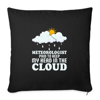 Meteorologist Paid To Keep My Head In The Cloud St - Sofa pillowcase 17,3'' x 17,3'' (45 x 45 cm) - black - Front