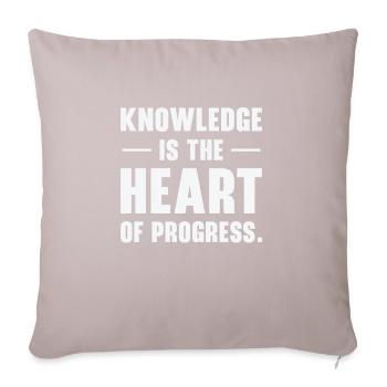 Entrepreneurs Knowledge Quotes Innovators Progress - Sofa pillowcase 17,3'' x 17,3'' (45 x 45 cm) - light taupe - Front