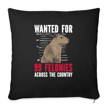 Capybara Nagetier - Sofakissenbezug 45 x 45 cm - Schwarz - Vorne