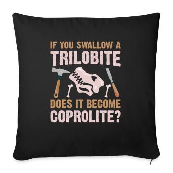 Archaeology, Trilobite, Fossil, Paleontologist - Sofa pillowcase 17,3'' x 17,3'' (45 x 45 cm) - black - Front