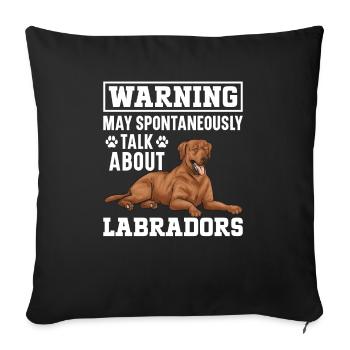 Fuchsroter Labrador Retriever Fox Red Labrador - Sofakissenbezug 45 x 45 cm - Schwarz - Vorne