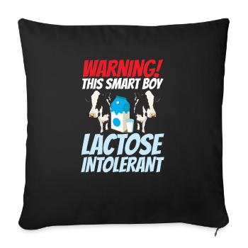 Lactose tolerant or lactose intolerant - Sofa pillowcase 17,3'' x 17,3'' (45 x 45 cm) - black - Front