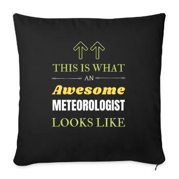 This is What an Awesome Meteorologist Looks Like - Sofa pillowcase 17,3'' x 17,3'' (45 x 45 cm) - black - Front