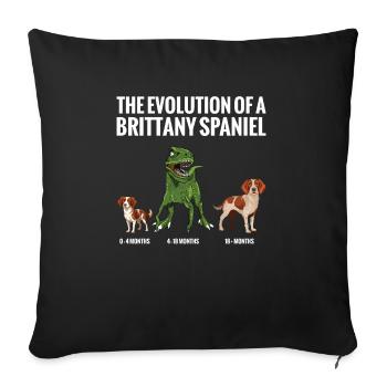 Die Evolution Eines Bretonischen Spaniel-hundes - Sofakissenbezug 45 x 45 cm - Schwarz - Vorne