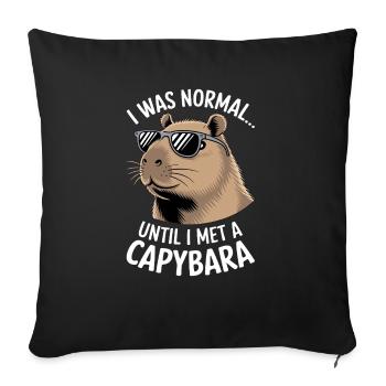 Capybara - Sofa pillowcase 17,3'' x 17,3'' (45 x 45 cm) - black - Front