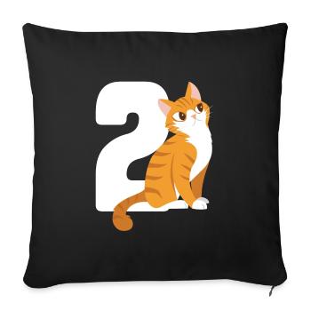 2.Geburtstag Katze 2 Jahre alt Geschenk - Sofakissenbezug 45 x 45 cm - Schwarz - Vorne