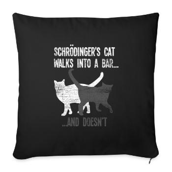 Physik Schrödinger - Sofakissenbezug 45 x 45 cm - Schwarz - Vorne