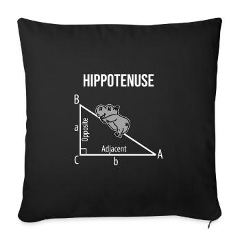Hippopotamus math - Sofa pillowcase 17,3'' x 17,3'' (45 x 45 cm) - black - Front