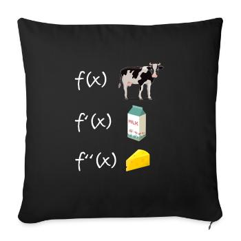Derivative Function Mathematics Teacher Derivation - Sofa pillowcase 17,3'' x 17,3'' (45 x 45 cm) - black - Front