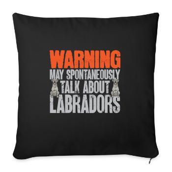 Silver Labrador Retriever Silver Lab - Housse de coussin décorative 45 x 45 cm - noir - Devant