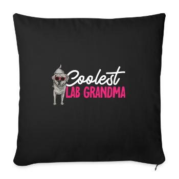 Silver Labrador Retriever Silver Lab - Housse de coussin décorative 45 x 45 cm - noir - Devant