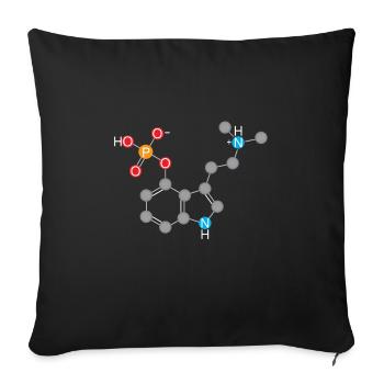 Champignon magique - recherche de formules chimiques - Housse de coussin décorative 45 x 45 cm - noir - Devant