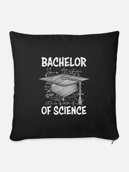 Bachelor of Science Mathematik Physik - Sofakissenbezug 45 x 45 cm - Schwarz