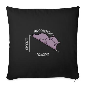 Algèbre Math Étudiant Professeur de Mathématiques Hippotenuse - Housse de coussin décorative 45 x 45 cm - noir - Devant