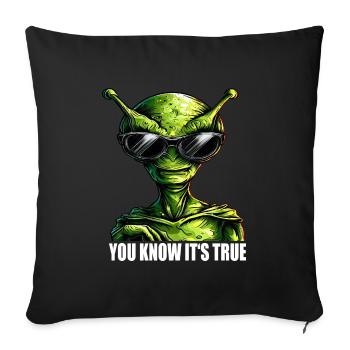 cool Alien: You Know It's True - Sofa pillowcase 17,3'' x 17,3'' (45 x 45 cm) - black - Front