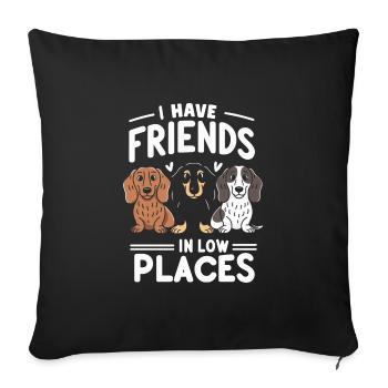 Amis dans les bas endroits Teckel Humour - Housse de coussin décorative 45 x 45 cm - noir - Devant