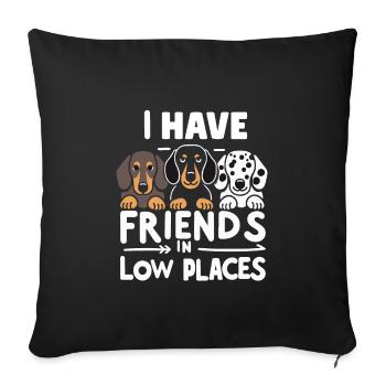 Amis dans les bas endroits Teckel Humour - Housse de coussin décorative 45 x 45 cm - noir - Devant