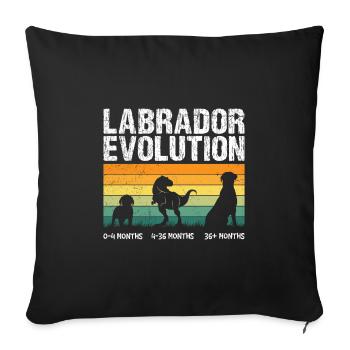 Labrador EVOLUTION Labrador Lover Funny - Sofa pillowcase 17,3'' x 17,3'' (45 x 45 cm) - black - Front