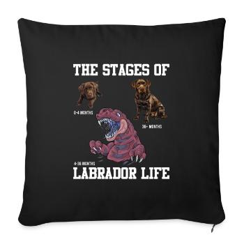 Labrador Lover PHASES OF A LABRADOR - Sofa pillowcase 17,3'' x 17,3'' (45 x 45 cm) - black - Front