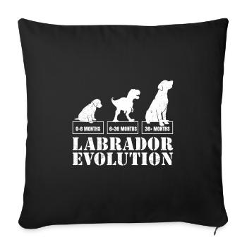 Labrador EVOLUTION Labrador Lover Funny - Sofa pillowcase 17,3'' x 17,3'' (45 x 45 cm) - black - Front