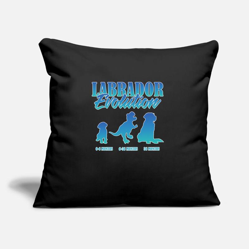 LABRADOR EVOLUTION Labrador Besitzer Lustiges Sofakissenbezug 45 x 45 cm