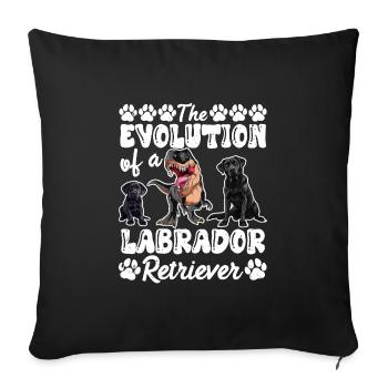 Hundebesitzer DIE EVOLUTION EINES LABRADOR - Sofakissenbezug 45 x 45 cm - Schwarz - Vorne