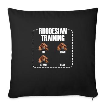Rhodesian Training Propriétaire de Rhodesian Ridgeback - Housse de coussin décorative 45 x 45 cm - noir - Devant