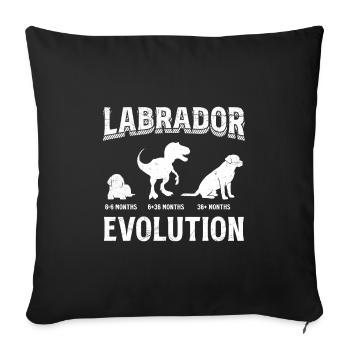 Labrador EVOLUTION Labrador Lover Funny - Sofa pillowcase 17,3'' x 17,3'' (45 x 45 cm) - black - Front