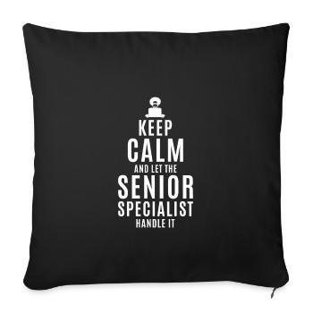 Senior IT Specialist Gift Idea - Sofa pillowcase 17,3'' x 17,3'' (45 x 45 cm) - black - Front