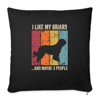 Briard Gift Dogs - Sofa pillowcase 17,3'' x 17,3'' (45 x 45 cm) - black - Front